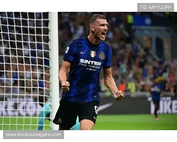 迪马尔科：因哲科庆祝波黑胜利却因录像遗憾